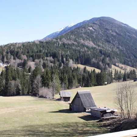 Splendid Apartment In Schladming With Sauna Ngoại thất bức ảnh