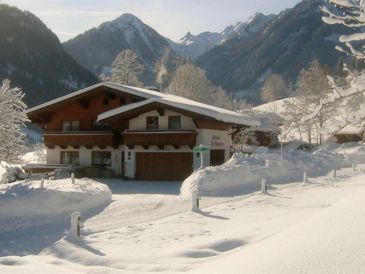 Splendid Apartment In Schladming With Sauna Ngoại thất bức ảnh